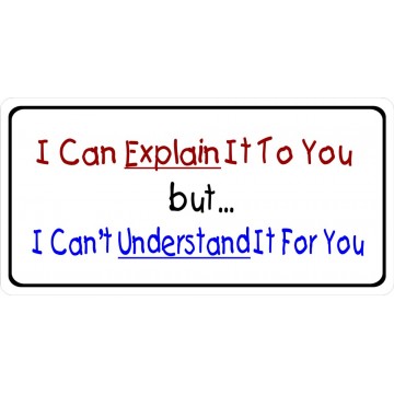I Can Explain It To You  But  I Can't Understand It For You Photo License Plate